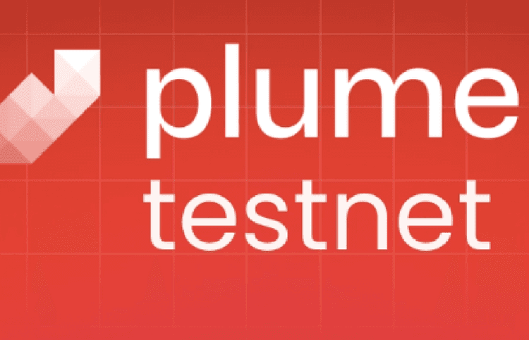 Hướng dẫn tham gia testnet Plume Network