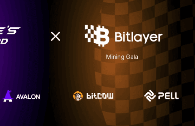 Hướng dẫn launchpad bốn dự án trên Bitlayer 